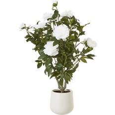 Arrangement In Pot 106cm H X 63cm W X 58cm D