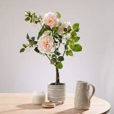 Real Touch Rose Tree in Black Pot - Pink