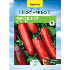 Ferry-Morse 250MG Pepper Serrano Annual Vegetable Seeds Full Sun