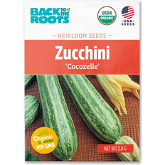 Back To The Roots Organic Summer Squash Zucchini Cocozelle 1 Seed Packet