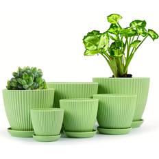 Pots, Plants & Cultivation Temu 6 Packs 7.5 Inches Flower Pots Thick Sturdy Plastic Planters