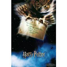 Harry Potter Harry Potter Hedwig Letter From Hogwarts Poster