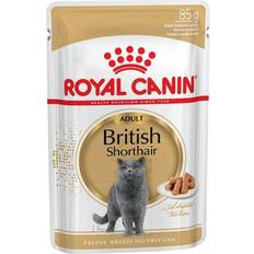 Royal canin british shorthair Royal Canin British Shorthair Wet Cat Food 85g 12pack