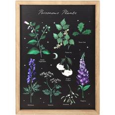 Black Framed Art Something Different Poisonous Plants Wall Multi One Size Framed Art