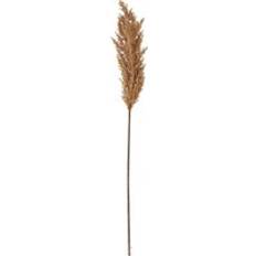 Beige Artificial Plants Hill Interiors Dried Pampas Grass Flower One Size Artificial Plant