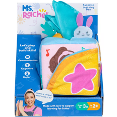 Ms Rachel Surprise Learning Box