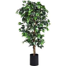 Indoor Decoration Green