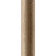 Platten Acous 003944000609 21x600x2500mm
