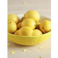 Lemon Yellow