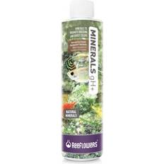 1800Flowers gH+ Fish Aquarium Water Conditioner 8.5-fl oz Bottle