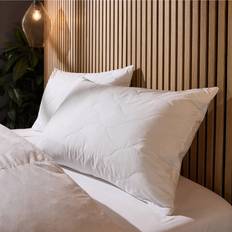 Cotton Fiber Pillows Snuggledown Luxury Cotton Quilted 2 Pack - White Fiber Pillow
