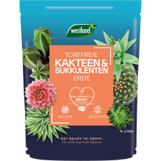 Krukker, Planter & Dyrkning Westland Kakteen Sukkulenten Erde 4 l mit Tongranulat Plantenæring