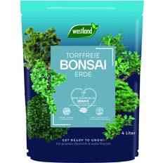 Krukker, Planter & Dyrkning Westland Bonsai Erde 4 l mit Tongranulat Plantenæring & Gødning