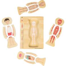 Bigjigs Male Anatomy Puzzle 26pcs Human Body Jigsaw Set