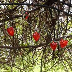 Red String Lights Melody Maison Red Strawberry LED Fairy Lights 170 cm String Light