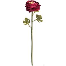 Ranunculus Spray One Size Green
