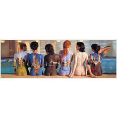 Pink Posters Pink Floyd Back Catalogue 53 x 158 cm Door Poster