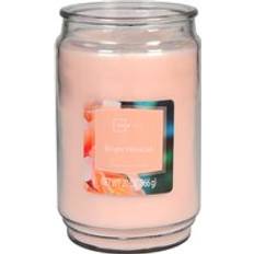 Pink Scented Candles Mainstays Bright Hibiscus Large Jar 20oz Pink Scented Candle