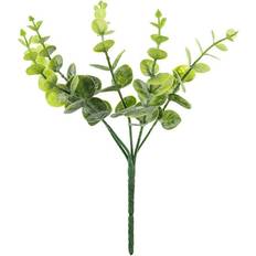 Eukalyptusgren Grön 27 cm