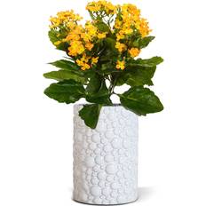 Orange Konstgjorda växter Green4Ever Kalanchoe 30 cm Konstgjord växt