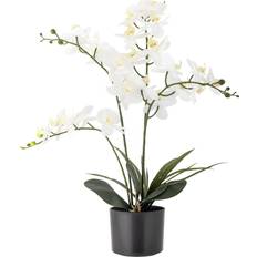 Bloomingville Orchid Grön Konstgjorda Blommor Konstgjord växt