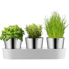 WMF Gourmet Indoor Herb Garden 3pcs