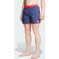 Swimming Trunks adidas Tom Daley Swim Shorts - Semi Lucid Blue/Pure Ruby