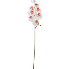 IKEA Blomma Inom Utomhus Orkidé Vit 60 cm Konstgjord växt