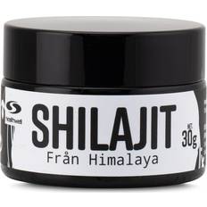 Healthwell Shilajit 30 g