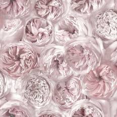 Pink Wallpapers Grandeco Peony Flower Wallpaper Petal Pink