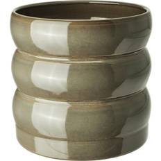 Hasselbukett Kruka 15 cm Inom Utomhus Grön Brun