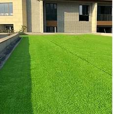 Shein Artificial Grass Turf Lawn Carpet 1pc