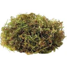 Pets Shein Grass Bedding Cages and Habitats Accessories for Hamsters and Chickens Bear Terrarium Landscape Moss