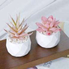 Shein Succulents Plants With Pot Pink Artificial Plant