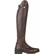 Kavalkade Proximo W - Brown