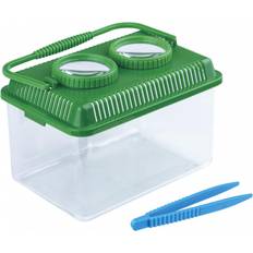 Spring Summer Observation Box