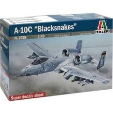  A 10C Blacksnakes 1:48