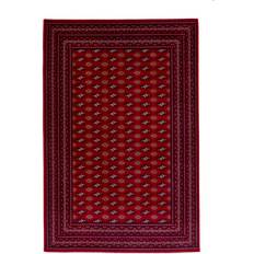 Think Rugs OZV10467 Red 120x170cm