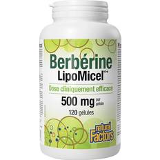 Natural Factors Berberin LipoMicel Matrix Mjukkapslar 120 st