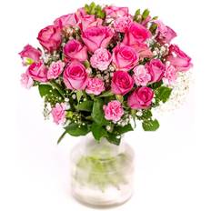 EuroFlorist Rosa Elegans