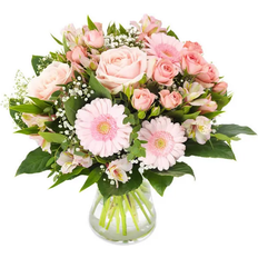 EuroFlorist Rosa perfektion
