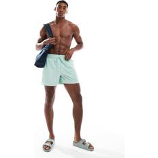 New Era Swimwear New Era Swim Short - Green