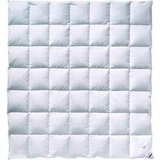 Billerbeck E04 Gold Edition 200 x 200 cm Duntäcke (200x)