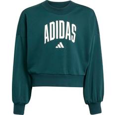 Adidas Enfärgade Sweatshirts adidas Sweatshirt JG CLGT FT Swt - Aurivy Vit