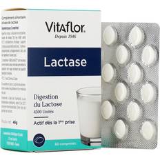 Vitaflor Lactase Produced Naturally Aspergillus Oryzae 60 Tablets