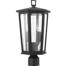 Lamp Posts Generation Lighting 2-Light Outdoor Light in Textured Black Lamp Post