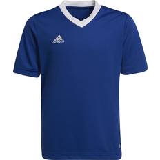 adidas Entrada Spilletrøje Royal &