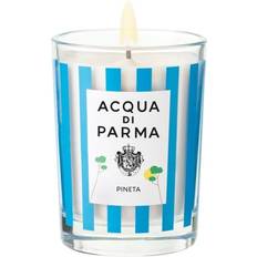Pineta Candle Summer 2025 Transparent 200 g
