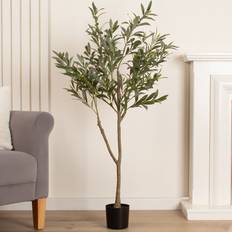 Olive Tree in Black Plastic Pot - Green