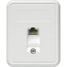 Surface Mount CAT 5e 1 Port Alpine White
